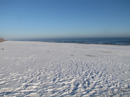 Frozen beach in winter