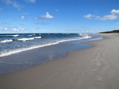 On the sandy beach