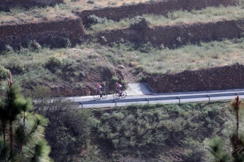 Road cycling bike Tenerife Teide