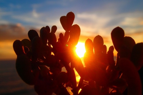 Sunrise sunset El Medano Tenerife Canarias