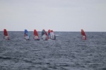 TWS Pro Slalom & IQ foil Training 04-01-2021