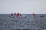 TWS Pro Slalom & IQ foil Training 04-01-2021