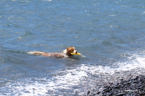 TWS Pro Slalom training in Puerto de Granadilla Tenerife 04-03-2019