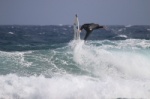 Wave windsurfing 35 knots of wind El Cabezo El Medano 28-09-2021